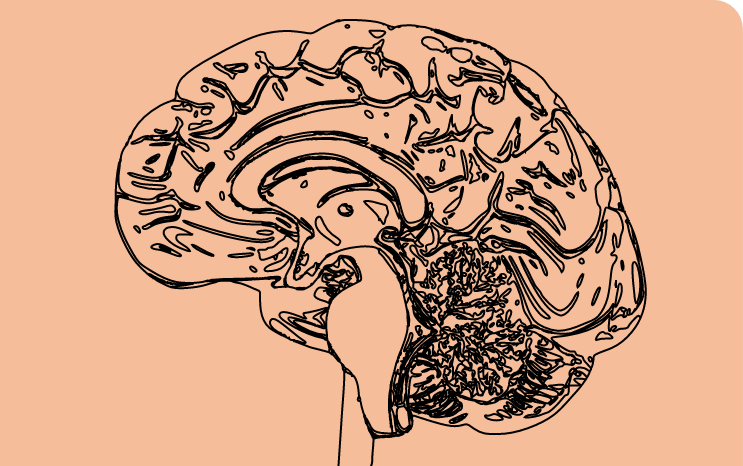 cerveau enfant dyslexique cerveau enfant dyslexique