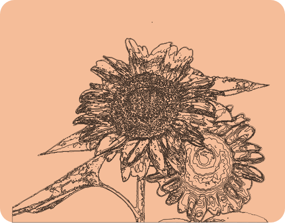 traitement dyslexie avec fleurs de Bach traitement dyslexie avec fleurs de Bach